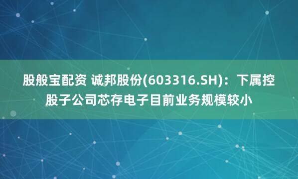 股般宝配资 诚邦股份(603316.SH)：下属控股子公司芯存电子目前业务规模较小